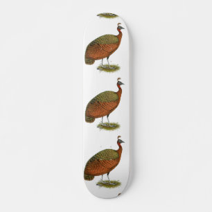 Pfau: Kongo Peahen Skateboard