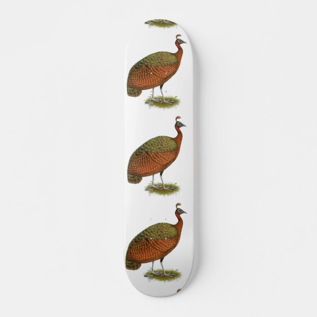 Pfau: Kongo Peahen Skateboard (Vorne)