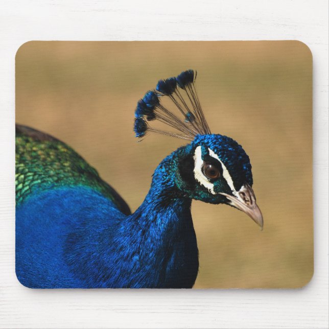 Pfau kundengerechte mousemats u. mousepad (Vorne)