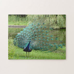 Pfau-Laubsäge