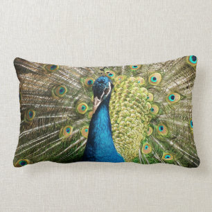 Pfau Lendenkissen