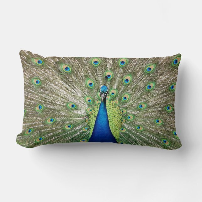 Pfau Lendenkissen (Vorderseite)