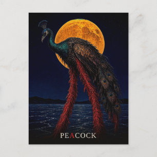 Pfau Leuchtende Beine gothic Surrealismus Postkarte