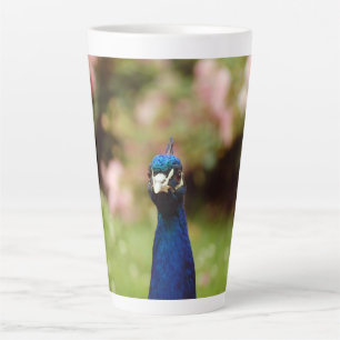Pfau Milchtasse