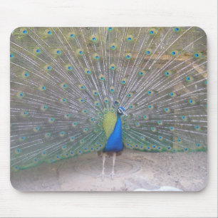 Pfau Mousepad