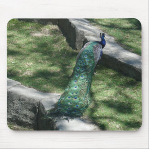 Pfau Mousepad