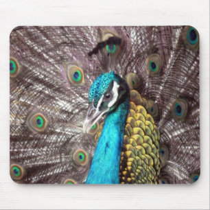 Pfau Mousepad