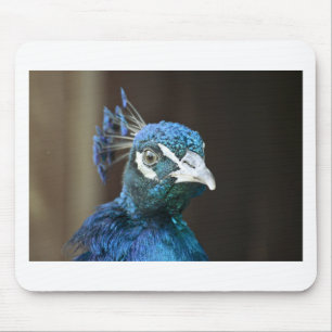 Pfau Mousepad