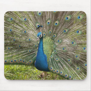 Pfau Mousepad