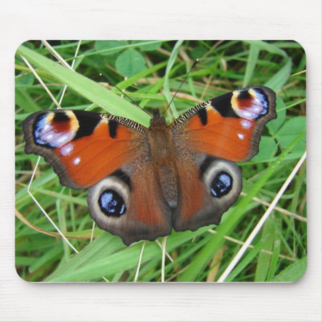 Pfau Mousepad (Vorne)