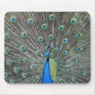 Pfau Mousepad