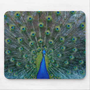 Pfau, mousepad