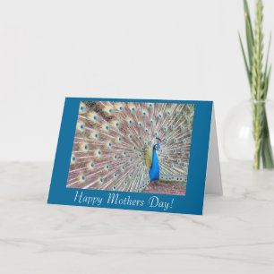Pfau-Mutter-Tageskarte Karte