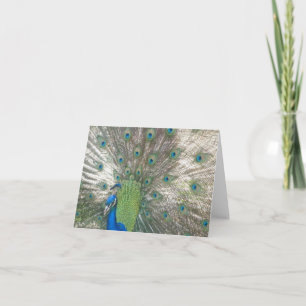 Pfau notecards karte