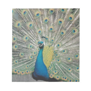 Pfau Notizblock