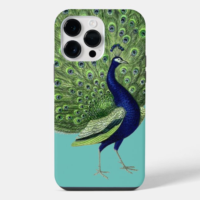 Pfau offener Fächer iPhone 14 Pro Max Hülle (Rückseite)