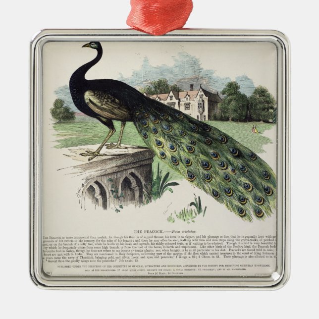 Pfau Ornament Aus Metall (Vorne)