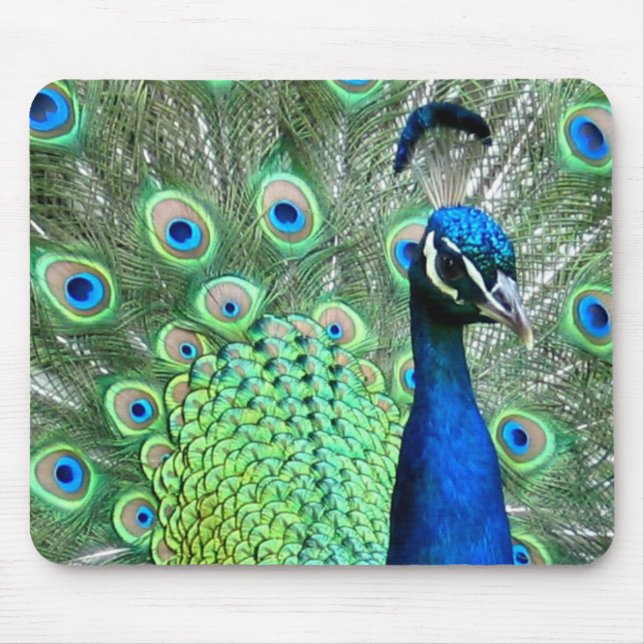 PFAU-PFAU-FOTO MOUSEPAD (Vorne)