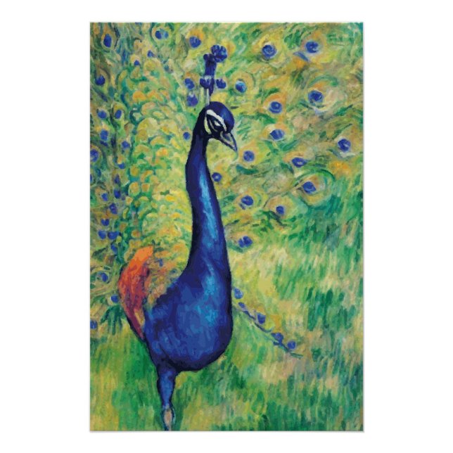 Pfau — Poster (Vorderseite)