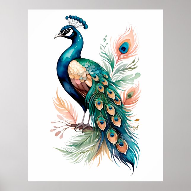 Pfau Poster (Vorne)