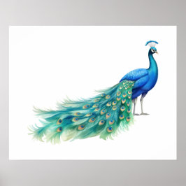 Pfau Poster