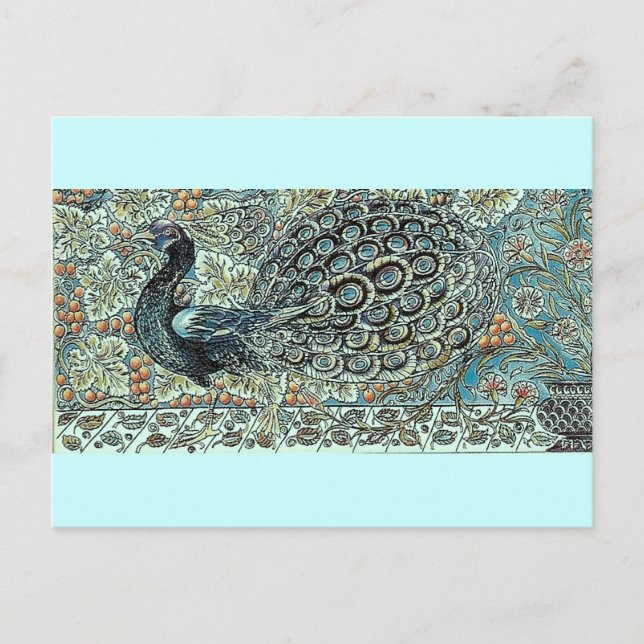 Pfau Postkarte (Vorderseite)
