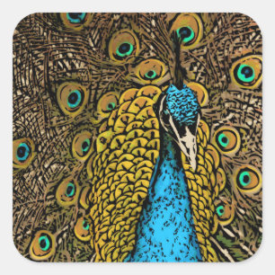 Pfau-Pracht-Illustration Quadratischer Aufkleber