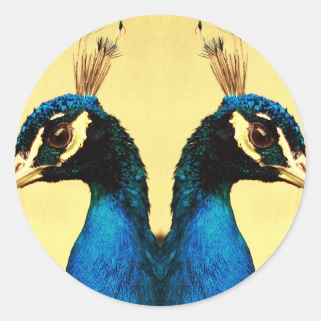 Pfau Runder Aufkleber (Vorderseite)