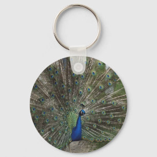 Pfau Schlüsselanhänger