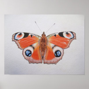Pfau-Schmetterling 2012 Poster