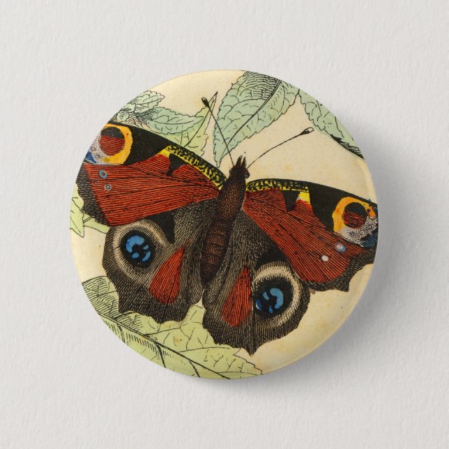 Pfau-Schmetterling Button (Vorderseite)