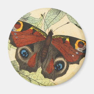 Pfau-Schmetterling Magnet