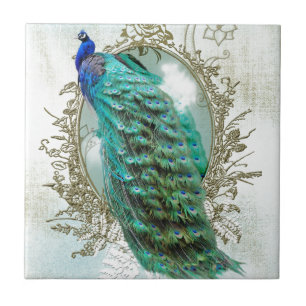 Pfau schöne Türkis Vintage Shabby Vogel Fliese