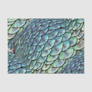 Pfau-Schwanz-Federn Seidenpapier