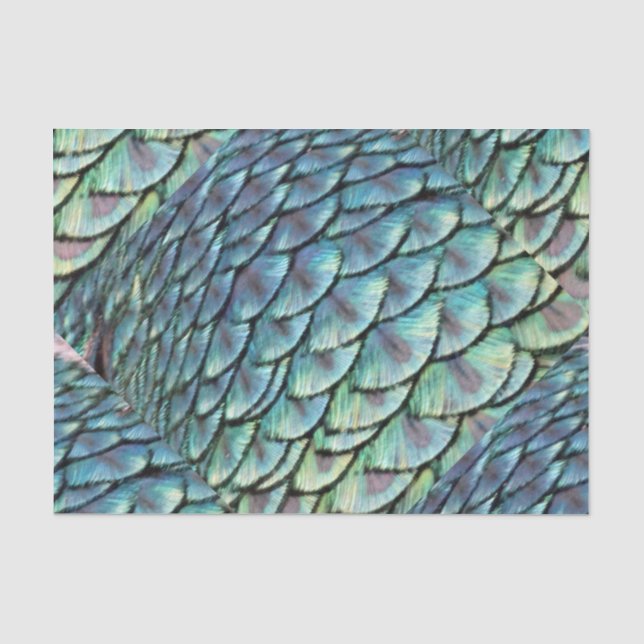 Pfau-Schwanz-Federn Seidenpapier (Vorderseite)