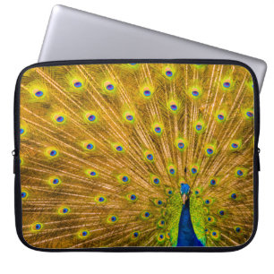Pfau, Silberfälle, Kauai, Hawaiian Wetsuit Laptopschutzhülle
