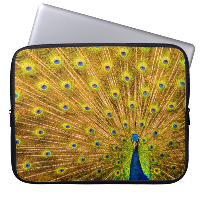 Pfau, Silberfälle, Kauai, Hawaiian Wetsuit Laptopschutzhülle (Vorderseite)