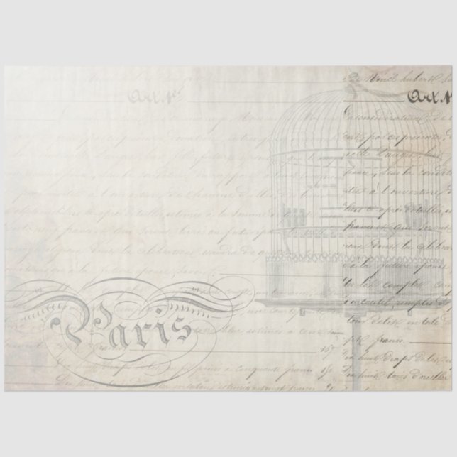 Pfau-Skripteditor Seidenpapier (Vorderseite)