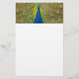 Pfau stationär briefpapier