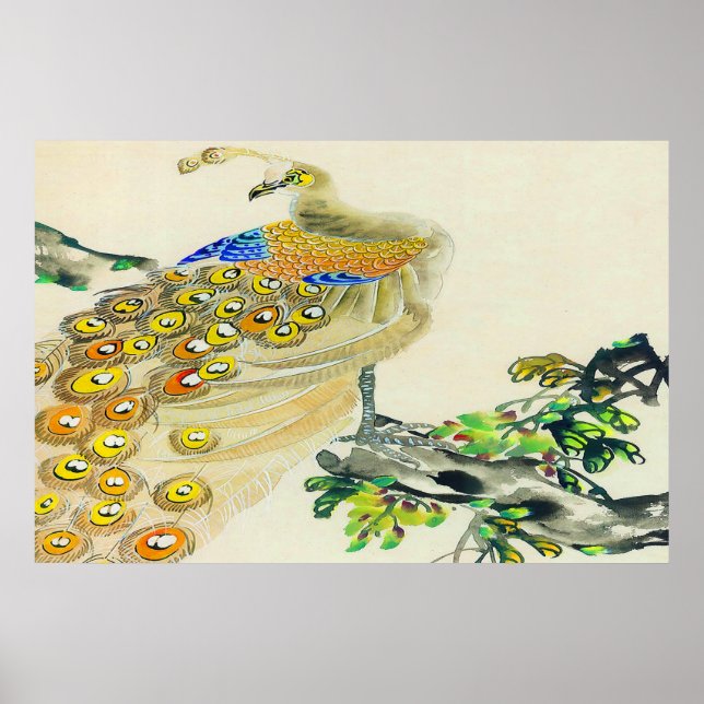 Pfau-Stehendes Poster Zeichne 1 (Vorne)