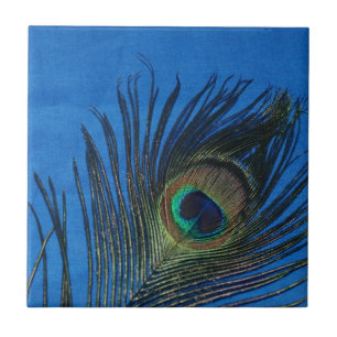 Pfau-Stillleben mit blauer Fliese