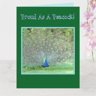 Pfau/"STOLZ ALS PEACOCK"/GLÜCKLICHER GEBURTSTAG-VA Karte