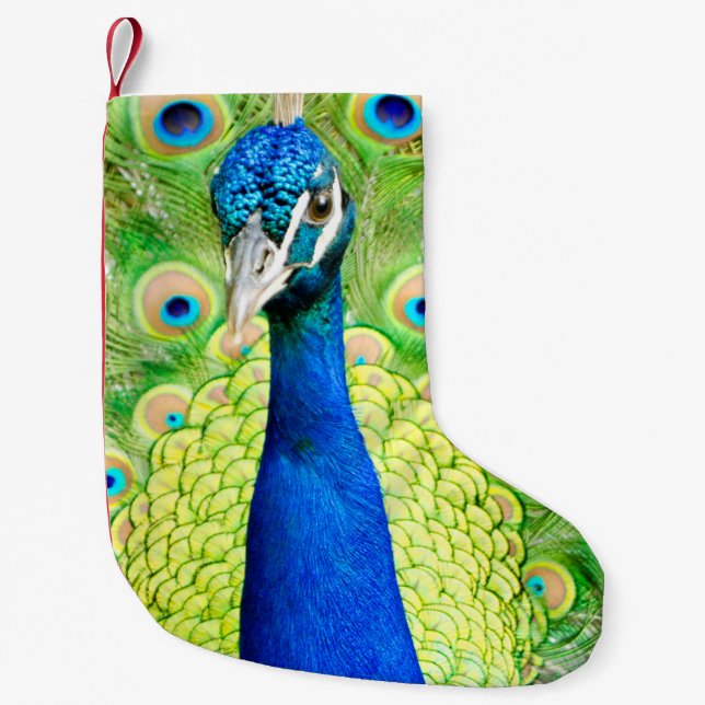 Pfau-Strumpf Kleiner Weihnachtsstrumpf (Vorderseite)
