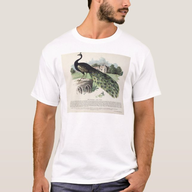 Pfau T-Shirt (Vorderseite)