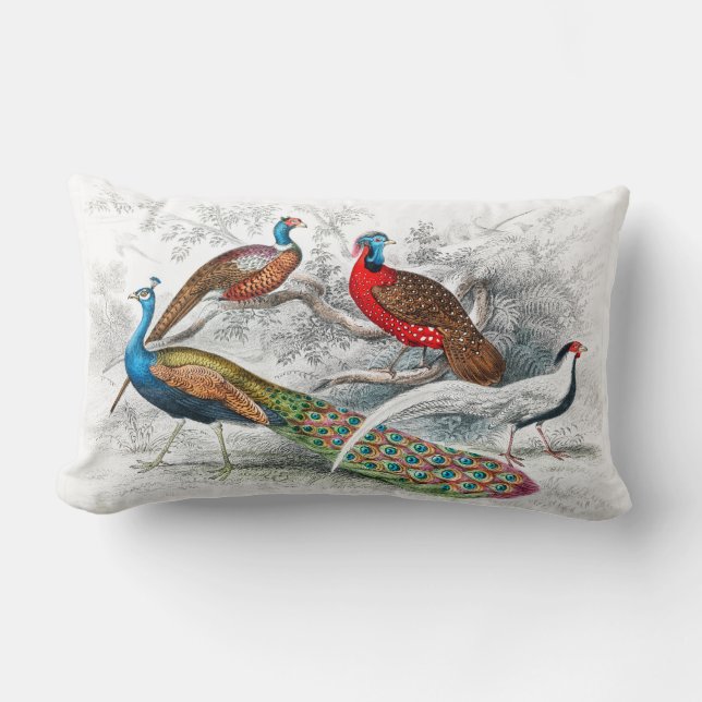 Pfau und Fasane - Oliver Goldsmith - Lendenkissen (Vorderseite)