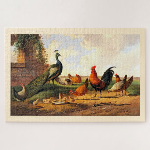 Pfau und Hühner