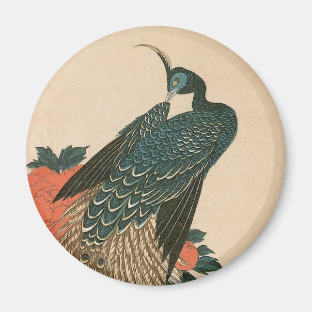 Pfau und Pfaue von Hiroshige, japanische Kunst Magnet (Vorne)