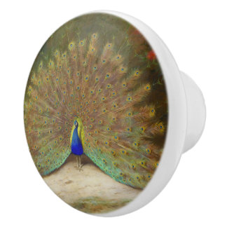 Pfau und Pfauenschmetterling, KunstIllustration Keramikknauf