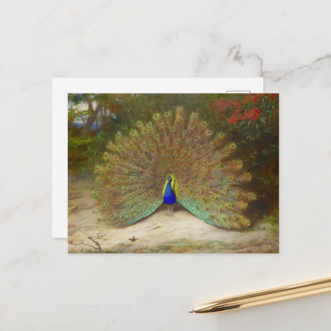 Pfau und Pfauenschmetterling, KunstIllustration Postkarte (Vorderseite/Rückseite Beispiel)