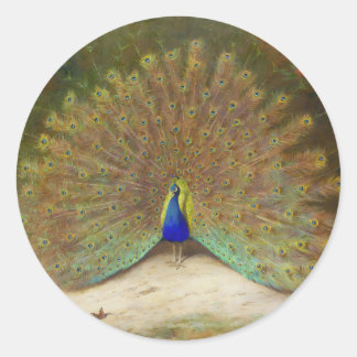 Pfau und Pfauenschmetterling, KunstIllustration Runder Aufkleber